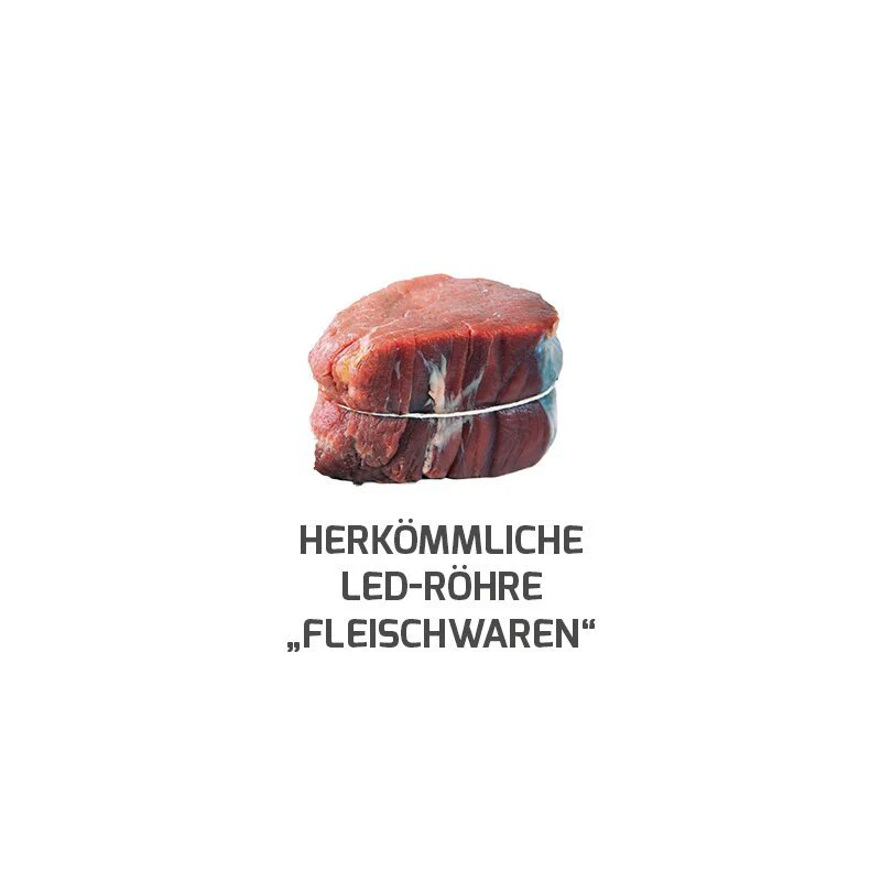 DOTLUX LED-Röhre LUMENPLUS 120cm 15W Fleischfarbe gefrostet drehbare Endkappe - Image 3