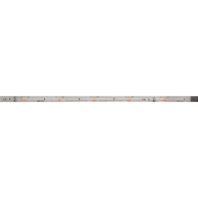 DOTLUX LED-Streifen 48W 10mm 2700K IP66 5m-Rolle inkl. 50cm Anschlusskabel beidseitig