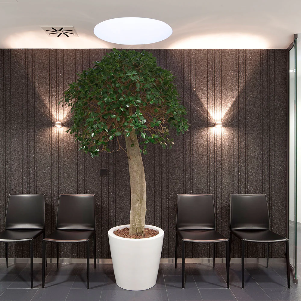 Puk Mini Wall LED Wandlampe - Image 5